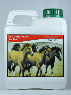 Induvet - Inicio/Home